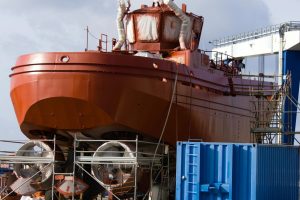 pexels-hermaion-29311756